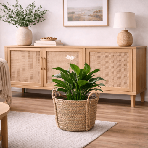 Vaso de plantas de esparto com alças