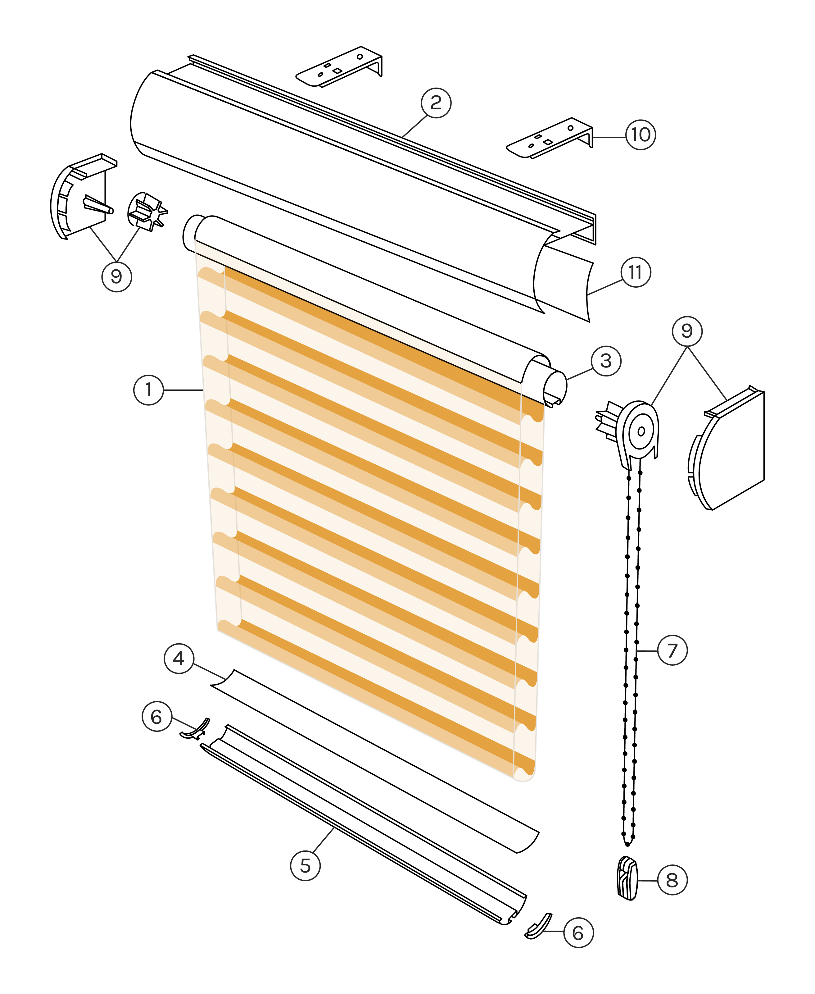 partes-estor-ventex.png